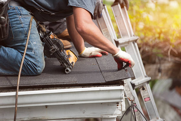 Best Local Roofing Companies  in Calais, ME